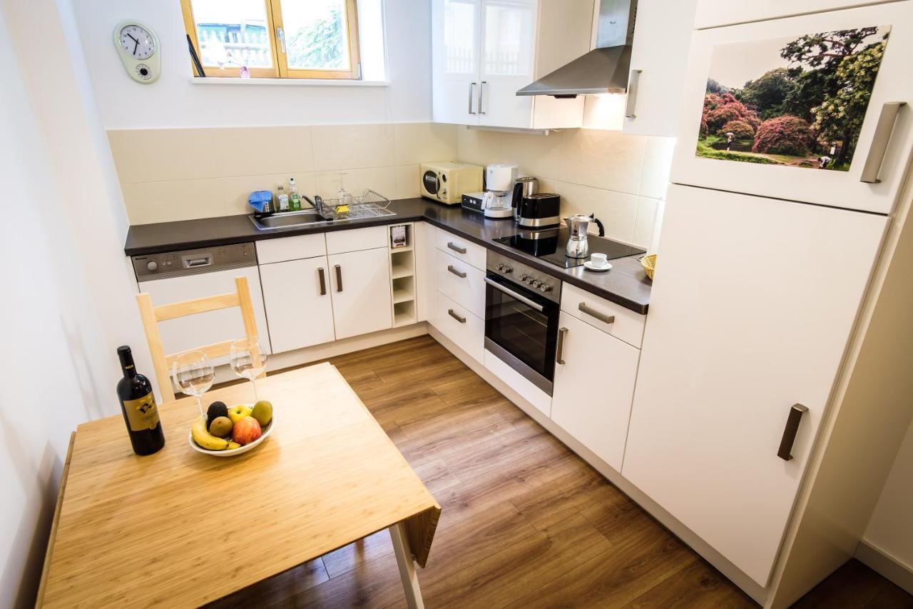 Wunderschoene In Sanierter Villa! Incl Wifi Appartement Dresden